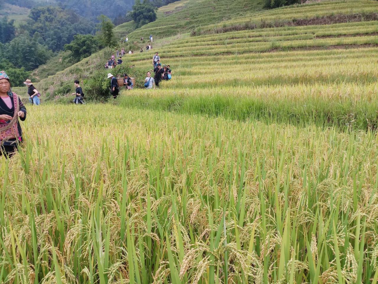 Tuongmai Home & Trekking Tour سابا المظهر الخارجي الصورة